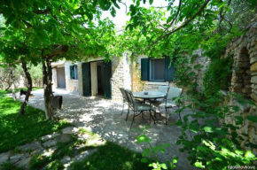 Family friendly house with a swimming pool Bol, Brac - 14291